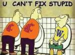 You Can't fix stupid